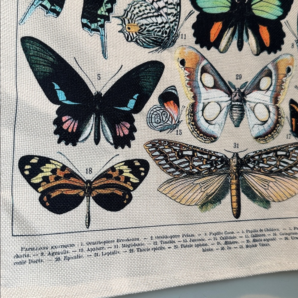 Butterfly Decor - Picture 2 of 2